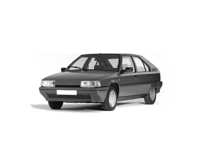 CITROEN BX (XB), 04.83 - 11.94 Autoteile