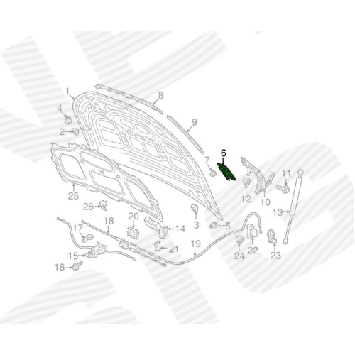 HAUBENHALTER - 2